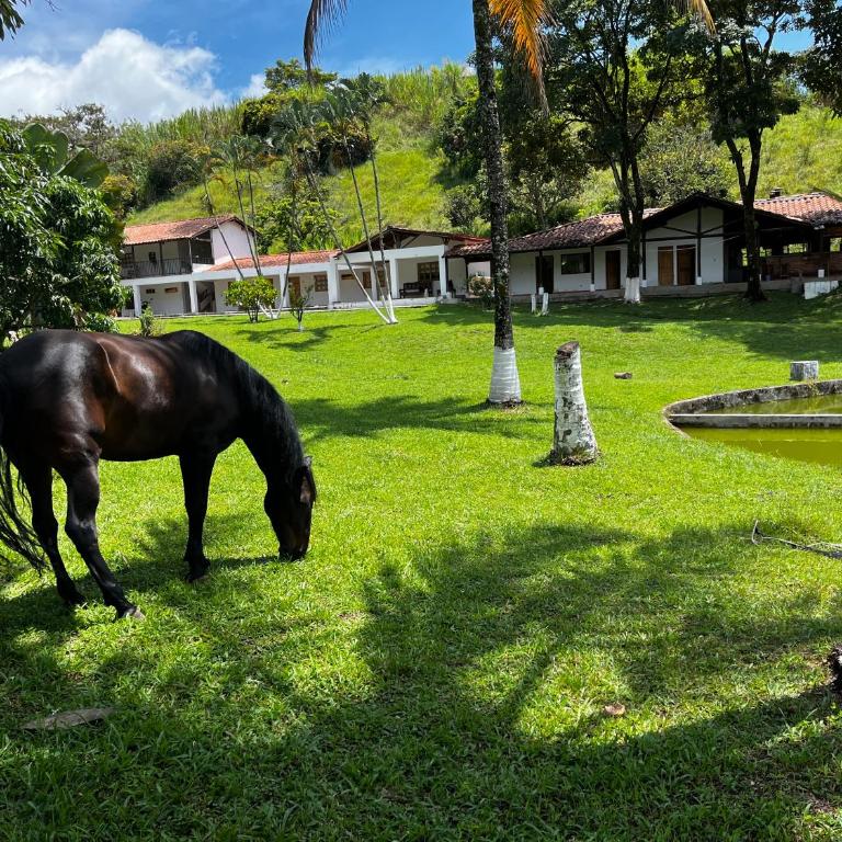 Finca El Saladero - Seven-Bedroom House - 1