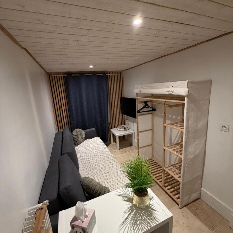 Le petit cocon de Jeannin - Appartamento con 1 Camera da Letto - 4