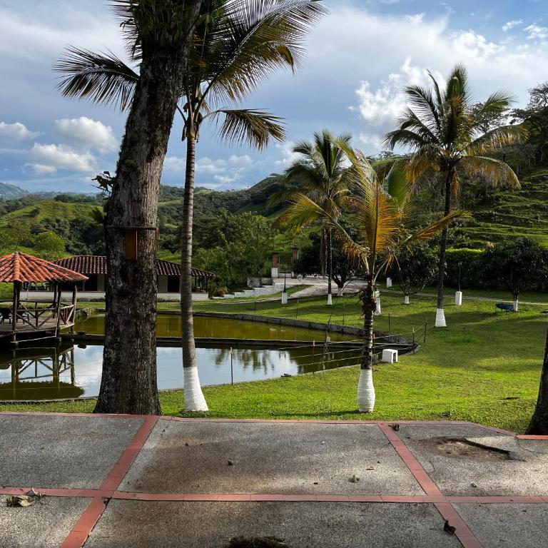 Finca El Saladero - Seven-Bedroom House - 4