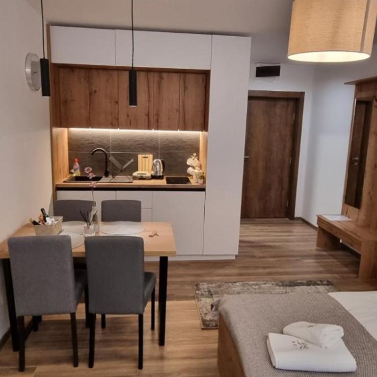 SKYLINE apartments Kopaonik - Superior Studio - 2