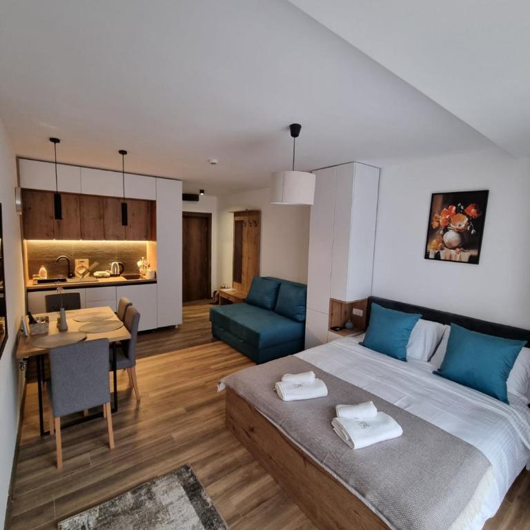 SKYLINE apartments Kopaonik - Studio with Terrace - 2