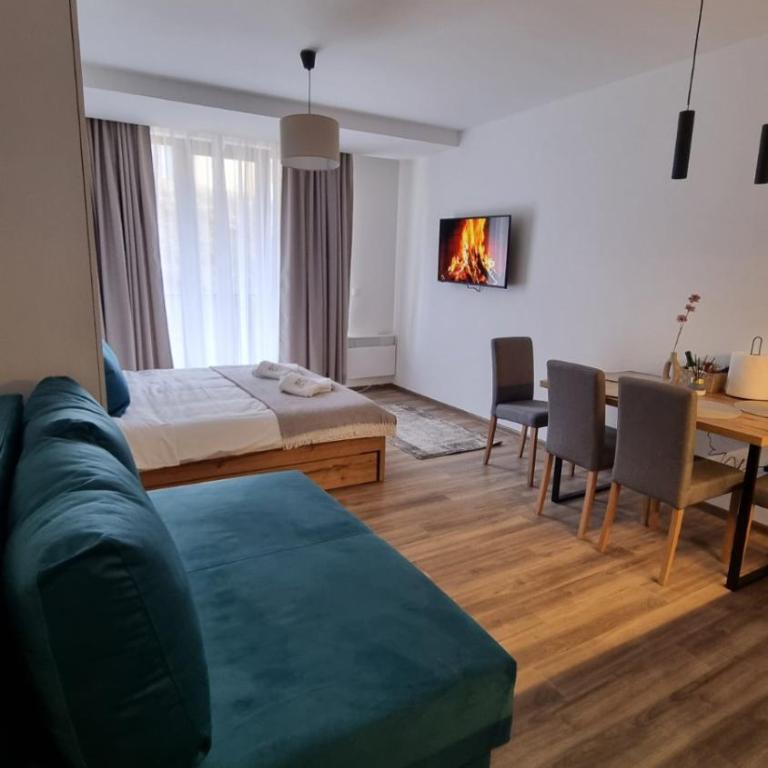 SKYLINE apartments Kopaonik - Studio with Terrace - 9