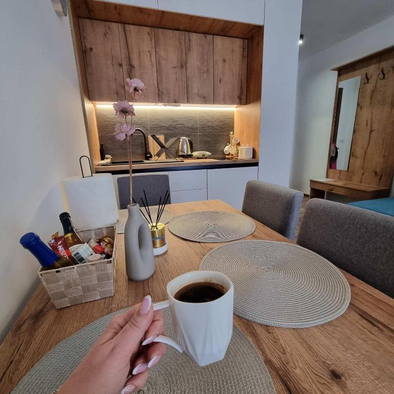 SKYLINE apartments Kopaonik - Studio with Terrace - 11