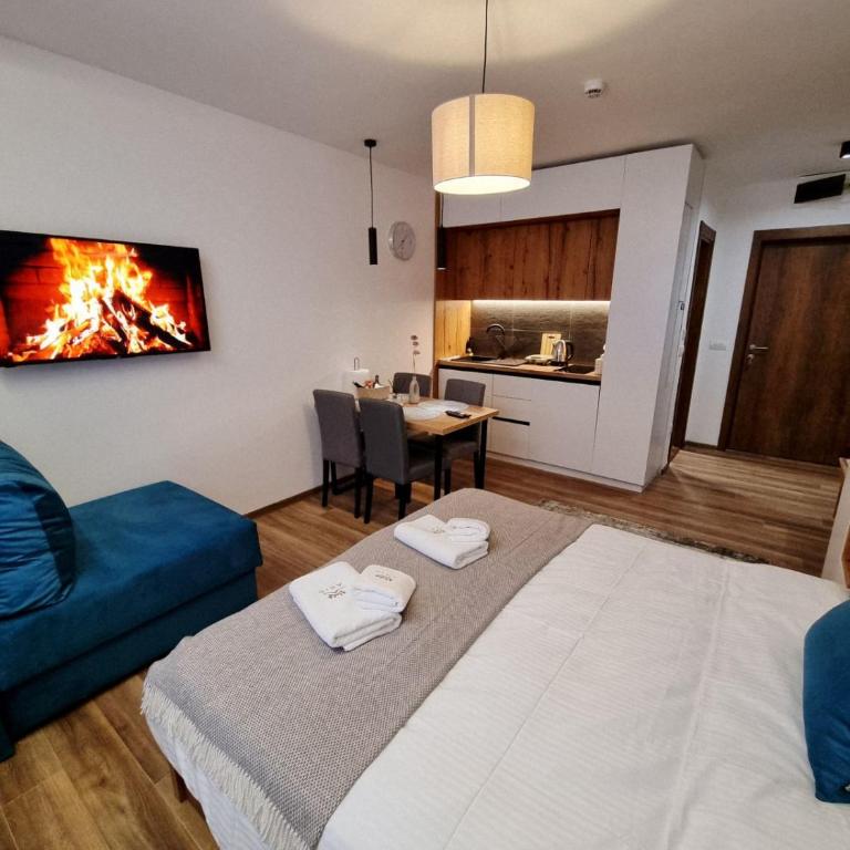 SKYLINE apartments Kopaonik - Superior Studio - 9