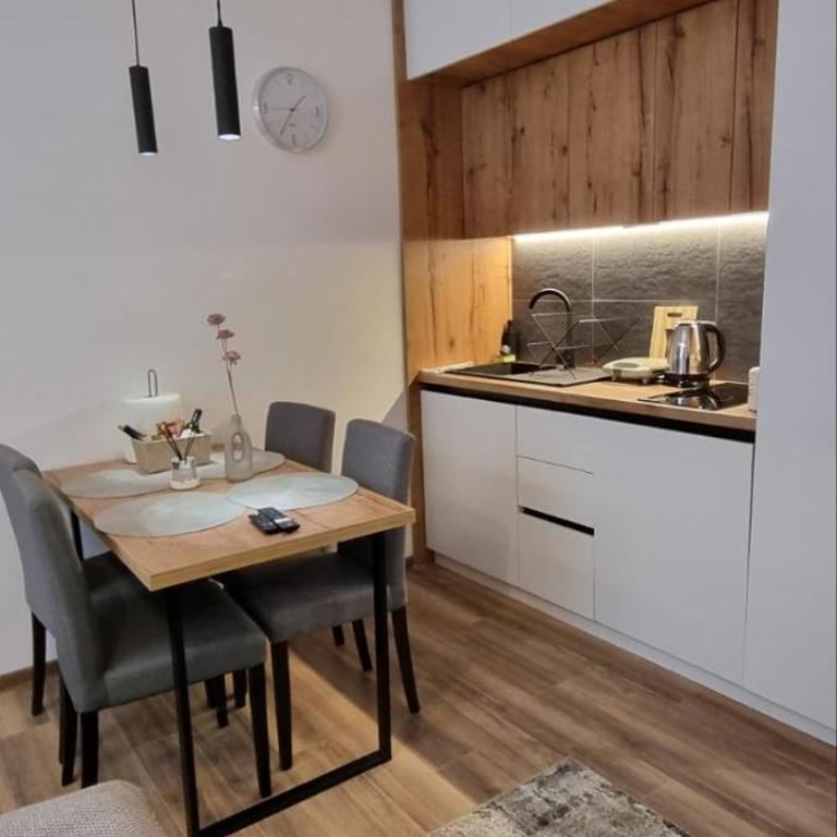 SKYLINE apartments Kopaonik - Superior Studio - 7