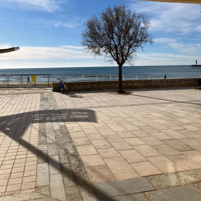 La Casa Polo and Lea 1ère Ligne Mer Accès Direct Plage RDC - Appartamento con Vista Mare - 16