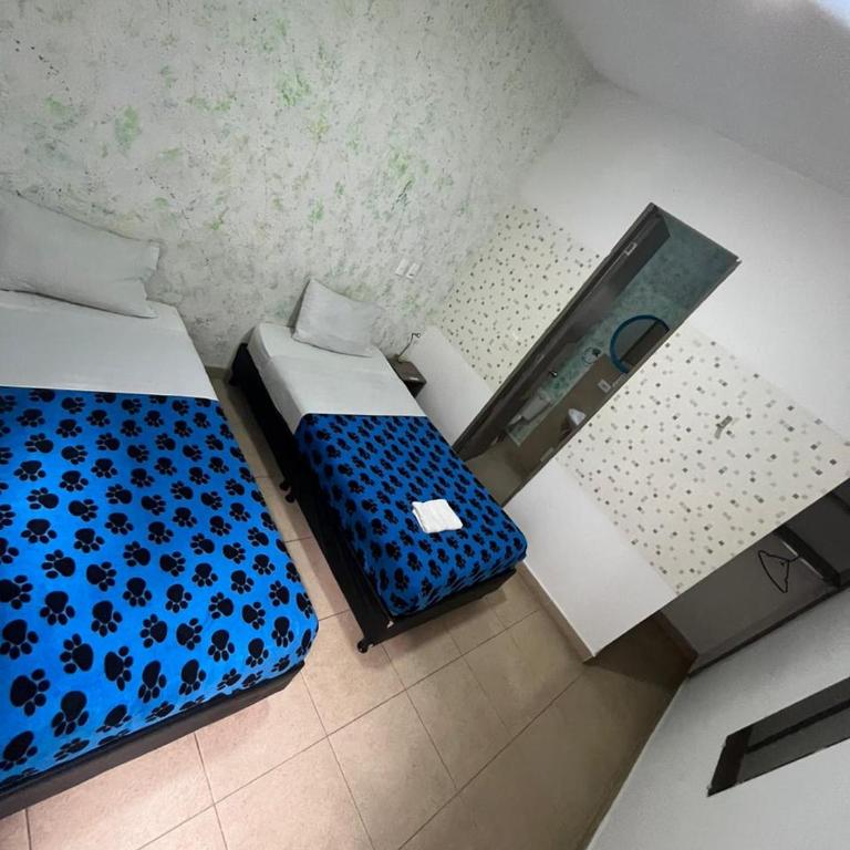 Hotel Alcuara Pereira Center - Family Room - 1