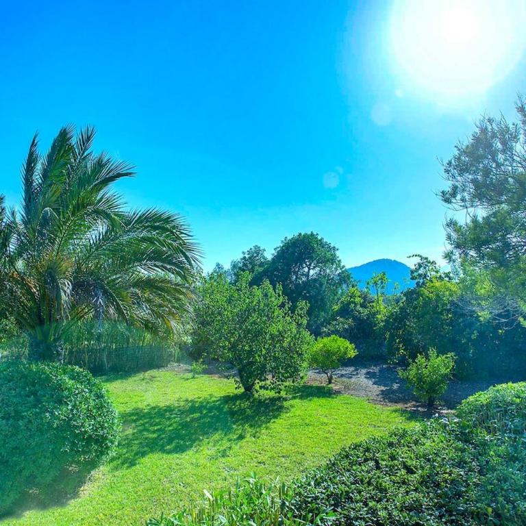 Lovely villa near Pollensa with Free Wifi Tancota - Three-Bedroom Villa - 19