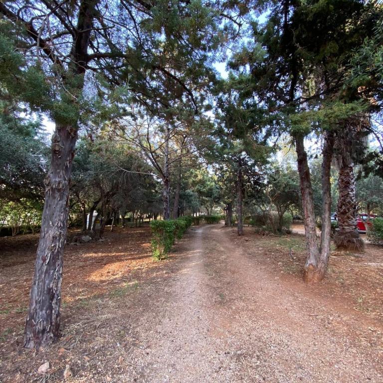Baglio Cuttaia - Villa con Vista Giardino - 11