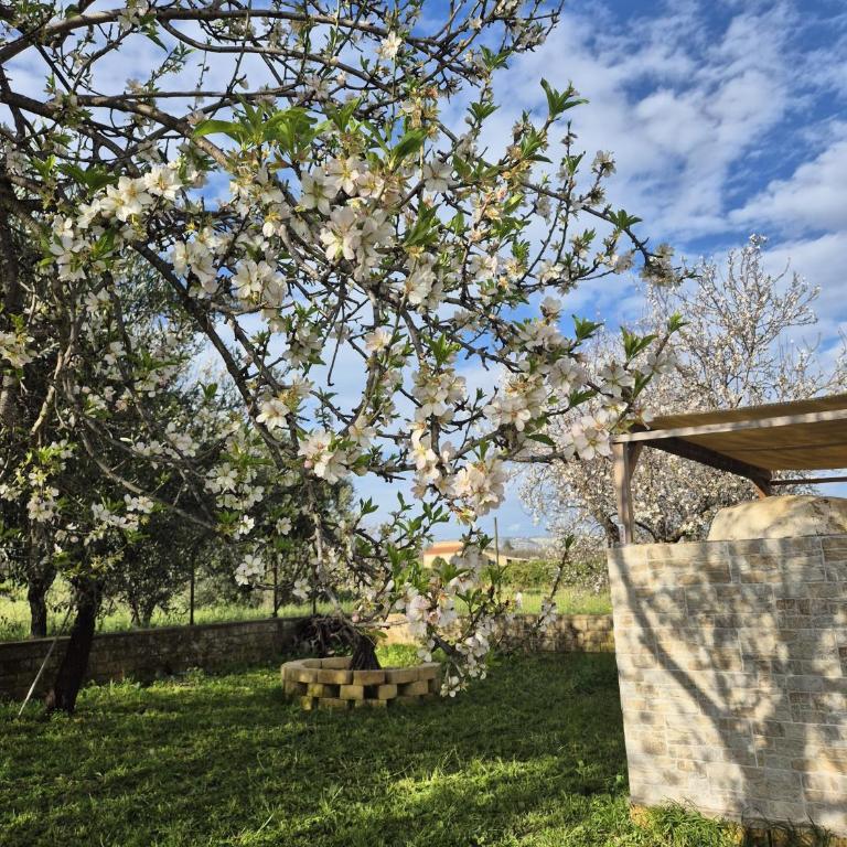 Villa Noemi - Villa con 2 Camere da Letto - 21