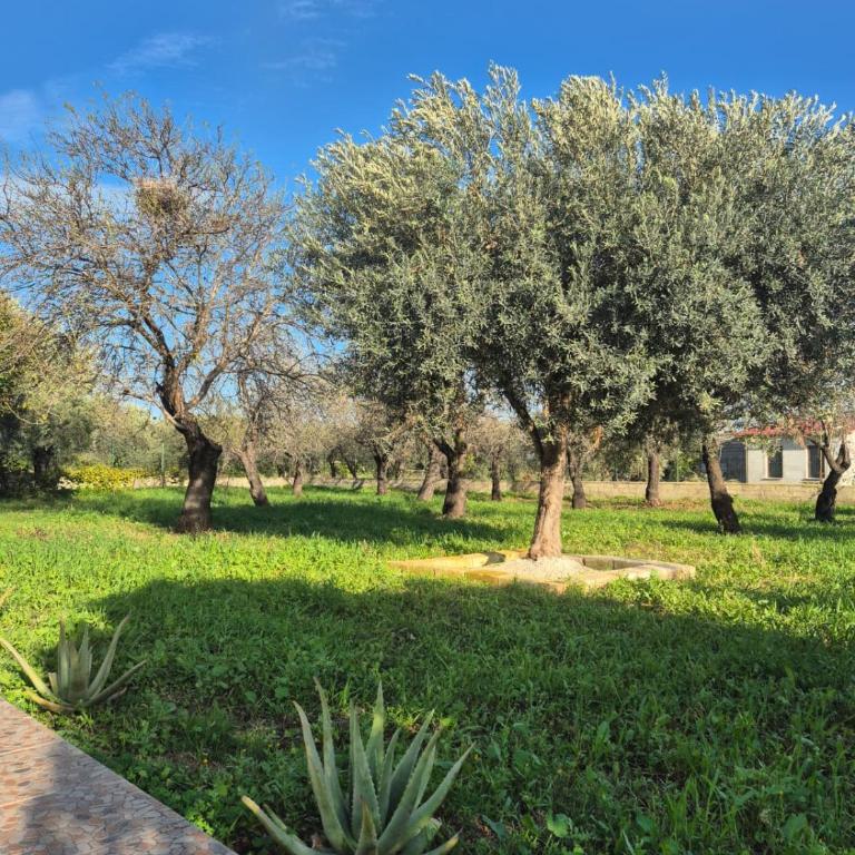 Villa Noemi - Villa con 2 Camere da Letto - 22