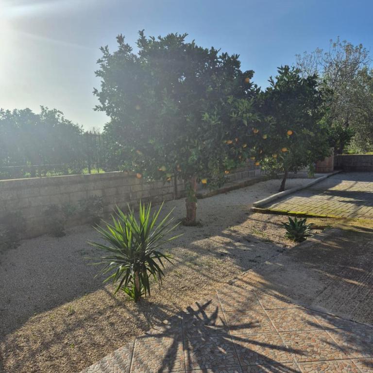 Villa Noemi - Villa con 2 Camere da Letto - 25