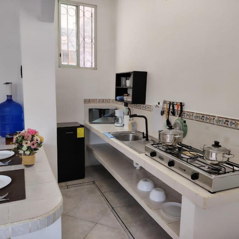 Galápagos Islands-Apartment in Santa Cruz - One-Bedroom Apartment - 3