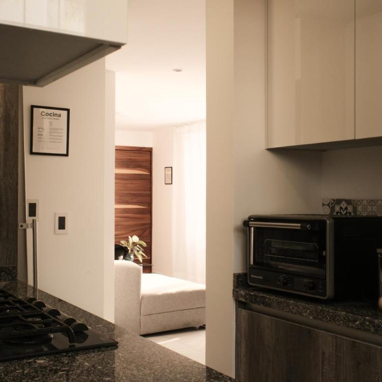 Modern and equipped apartment next to Plaza Patria - Two-Bedroom Apartment - 6