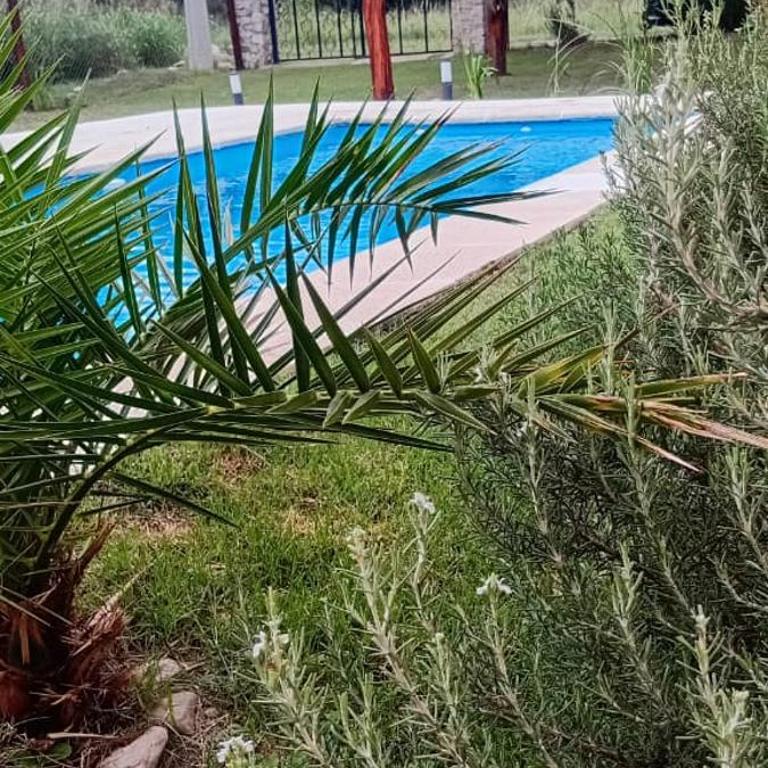 Los dos Algarrobos - Apartamento de 1 dormitorio - 3