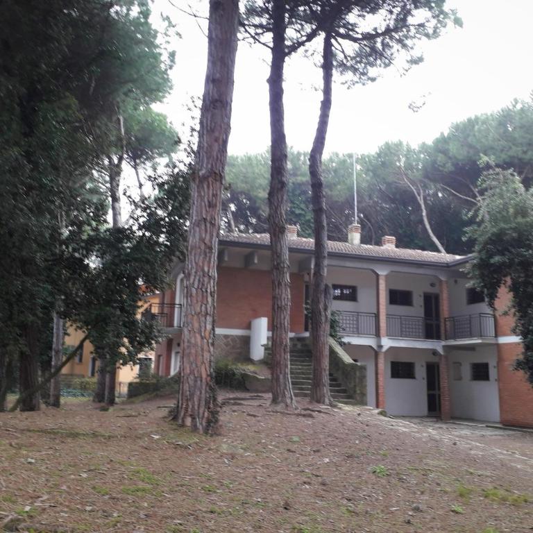 Stylish Stay for 4 near Porto Caleri - Two-Bedroom Apartment - 29