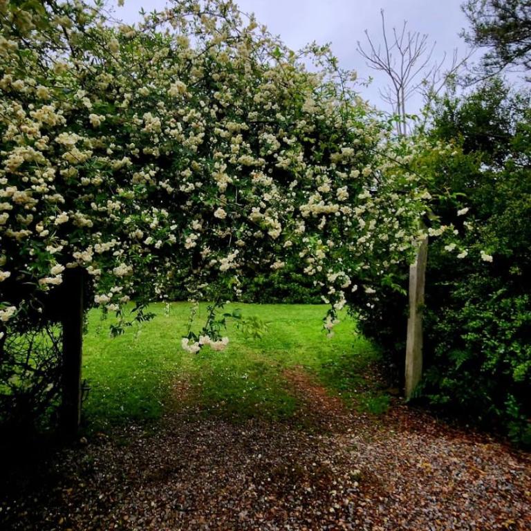 La Escondida- Escapada Romántica - Casa - 72