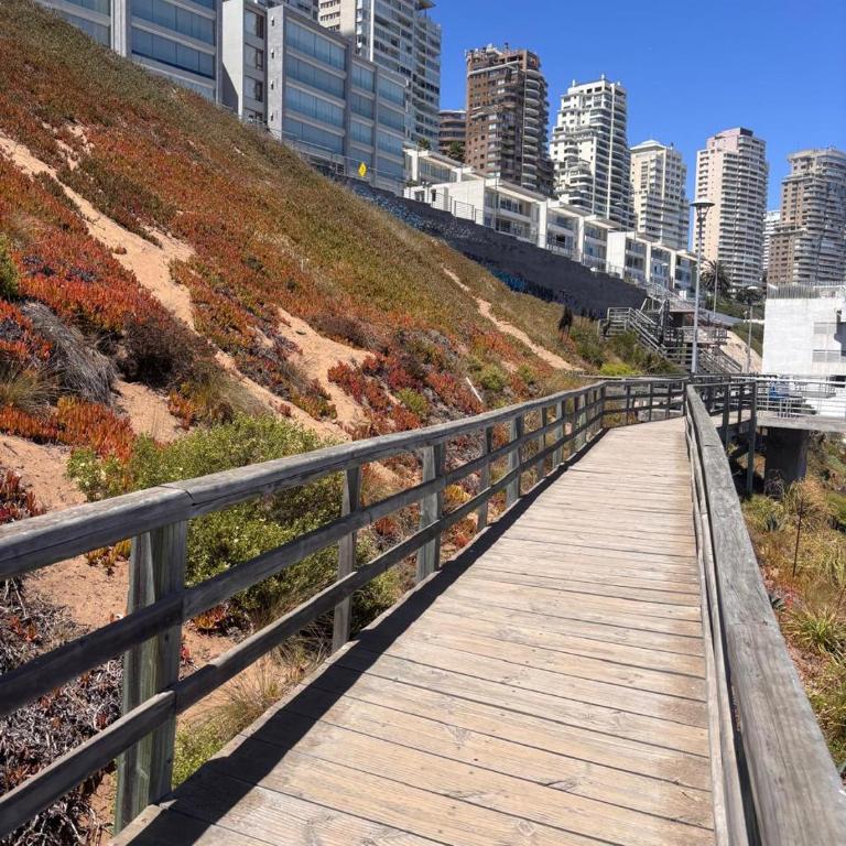 Large terrace with ocean views - Three-Bedroom Apartment - 9
