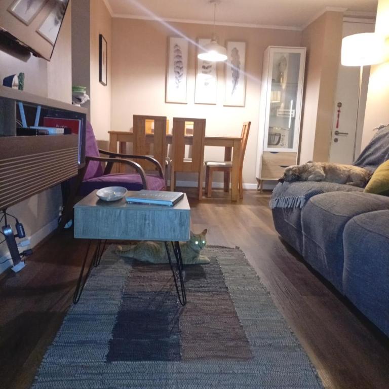 Amplio depto San Miguel 2D 2B Parking gratis - Two-Bedroom Apartment - 26