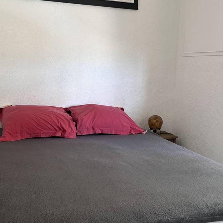Appartement T2 à Canet-en-Roussillon avec climatisation et wifi - FR-1-696-65 - Appartamento - 4