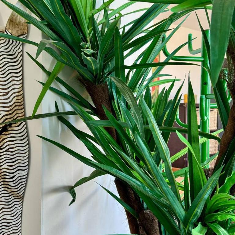 Appartement cocooning proche plage avec parking - FR-1-529-312 - Apartment - 17