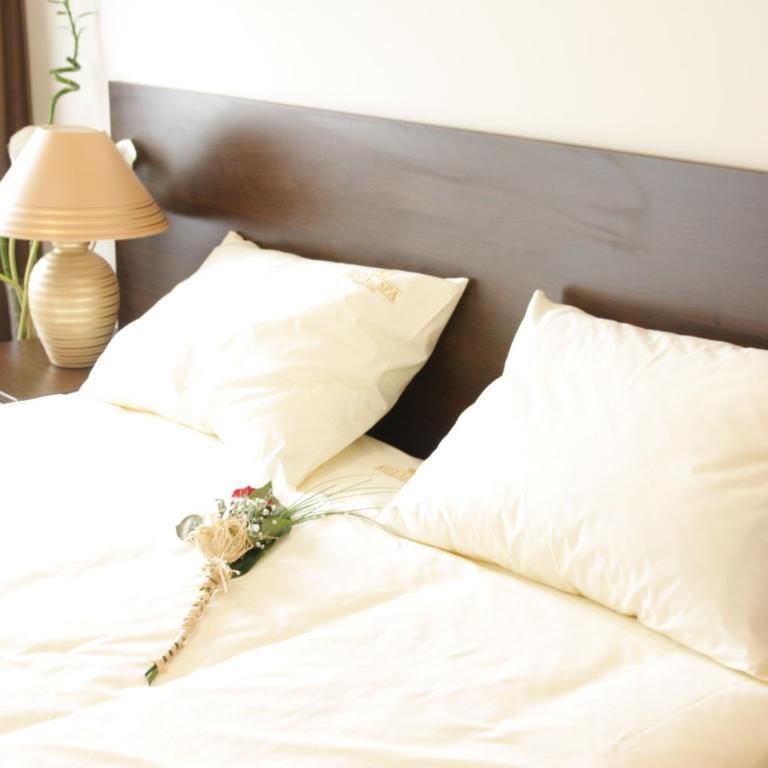Hotel Royal Spa - Dvokrevetna Soba sa Bračnim Krevetom/Zasebnim Krevetima - 2