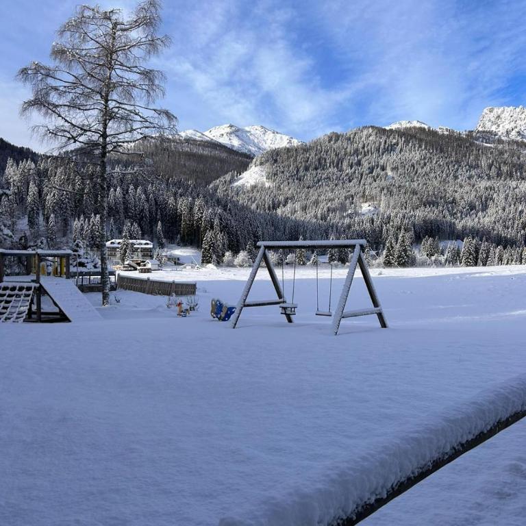 Mazzantini appartamento vacanza San Martino di Castrozza - Appartamento con 1 Camera da Letto - 24