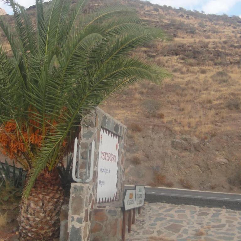 Casa El Pino - Casa - 4