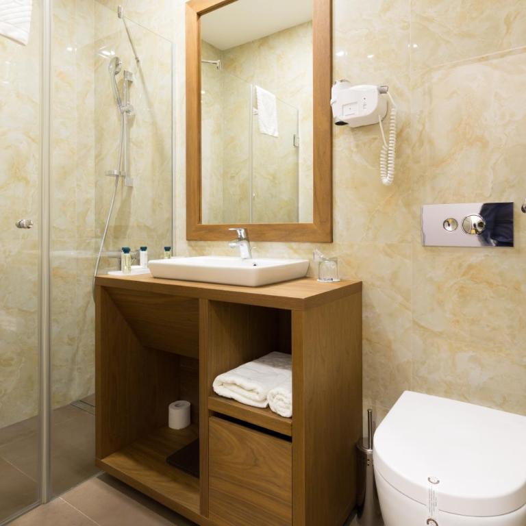 Hotel City Savoy - Klasična Dvokrevetna Soba sa Bračnim Krevetom i Korišćenjem Spa Usluga - 1