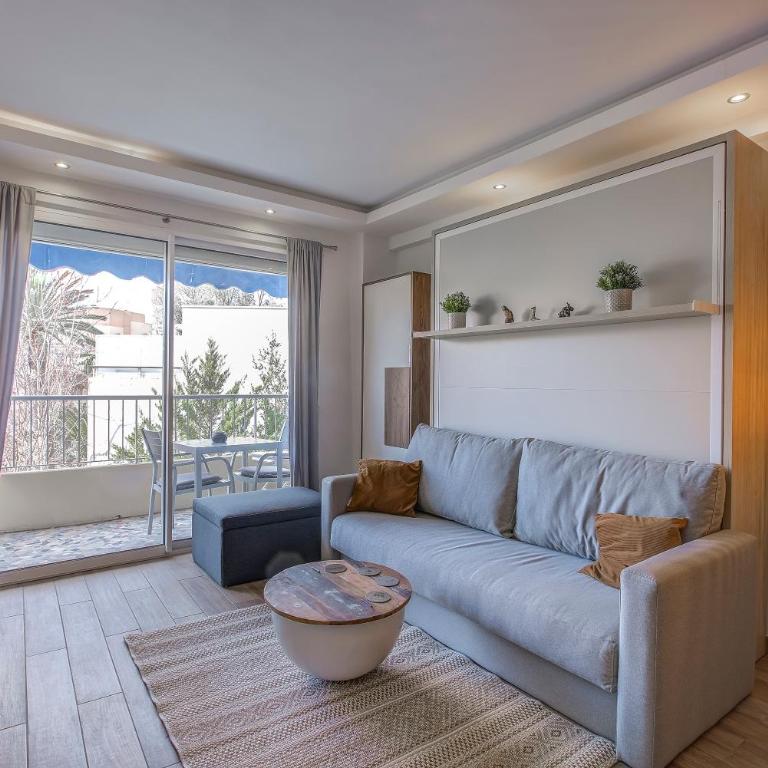 WIlson Palace - Studio avec terrasse et climatisation - Appartement 1 Chambre - 3