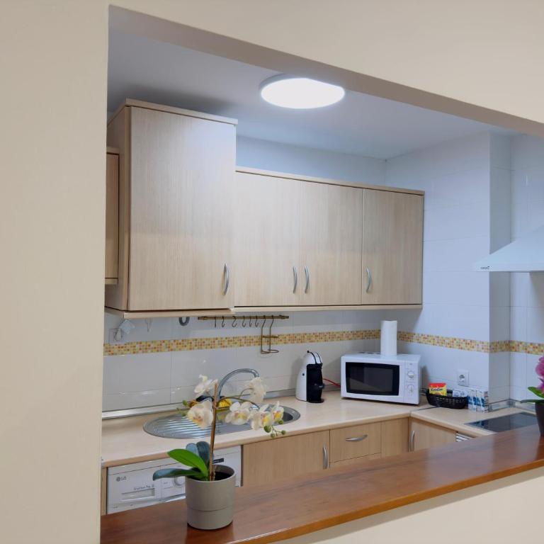 Botánic Suite Malaga - Apartamento Estándar de 1 dormitorio - 7