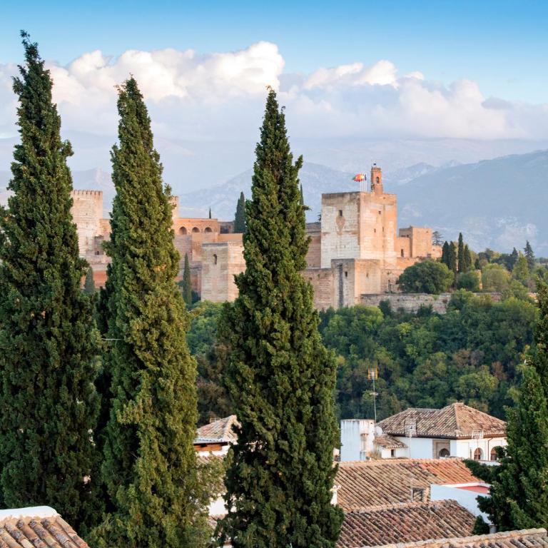 Mirador de la Lona - One-Bedroom Apartment - 34