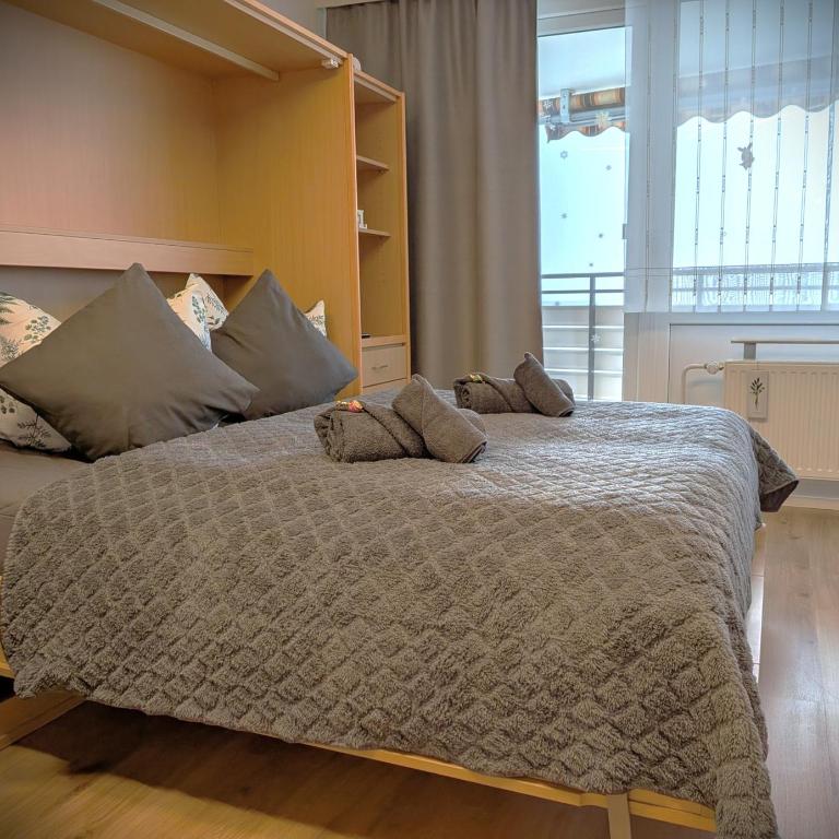 Sylva Apartment - Appartamento - 1