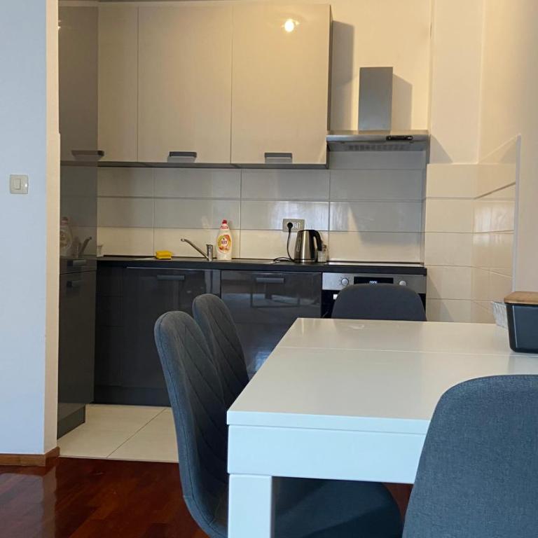 Cozy city apartment Podgorica - Apartman s 1 Spavaćom Sobom i Terasom - 15