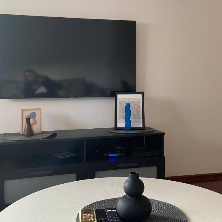 Cozy city apartment Podgorica - Apartman s 1 Spavaćom Sobom i Terasom - 14