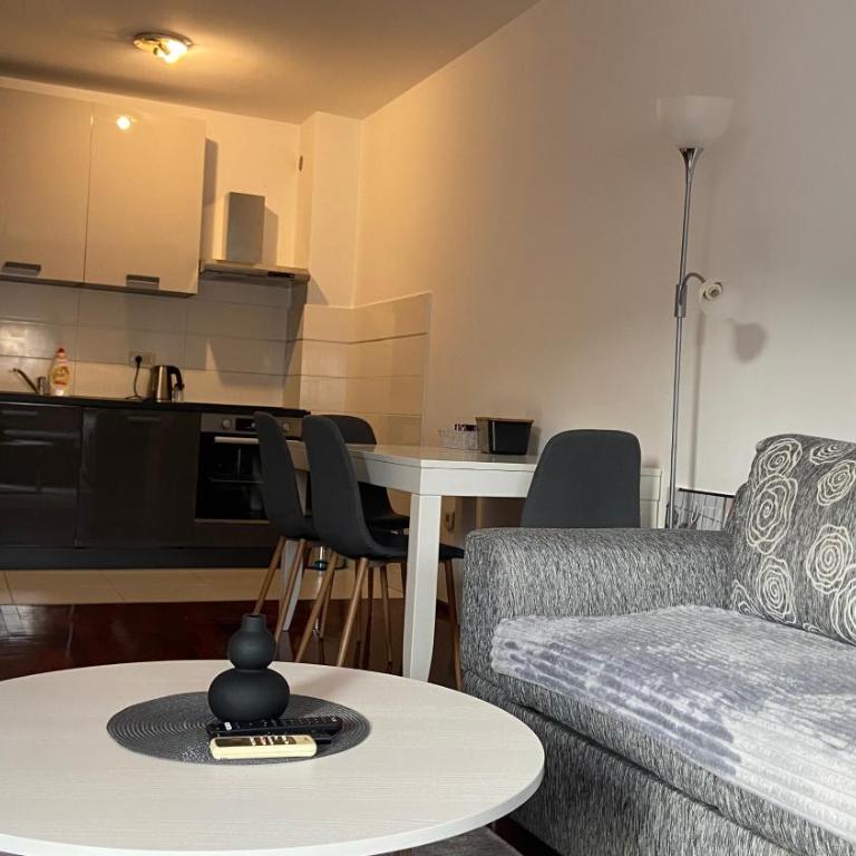 Cozy city apartment Podgorica - Apartman s 1 Spavaćom Sobom i Terasom - 17