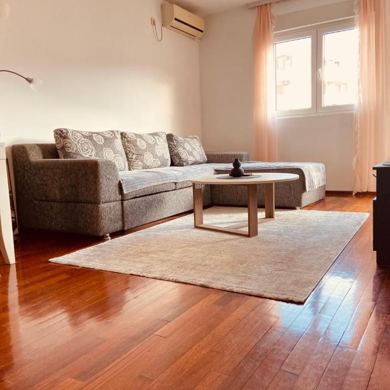 Cozy city apartment Podgorica - Apartman s 1 Spavaćom Sobom i Terasom - 9