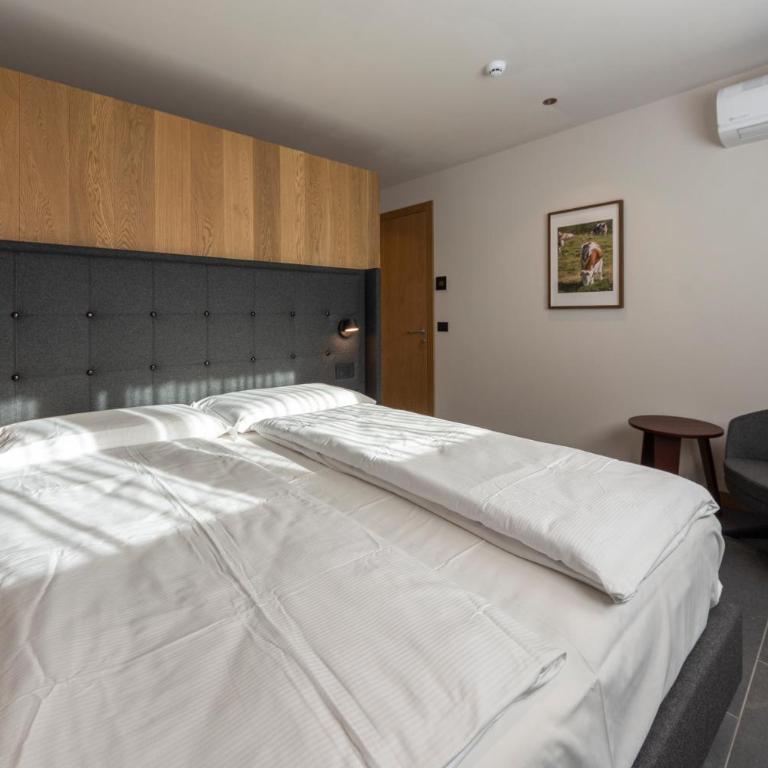 Dolomiten Apartments - Appartamento Deluxe - 8