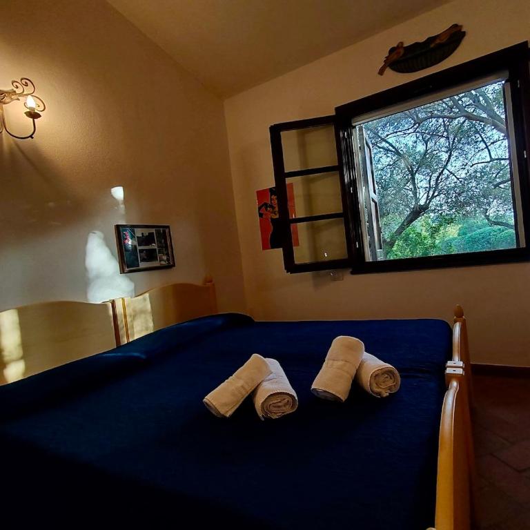 Charming Cottage with Private Garden near Nora & Chia - Villa - 15
