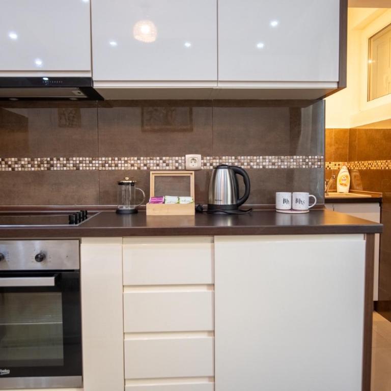 Apartman Milica-Mica - Apartman sa 1 Spavaćom Sobom - 4