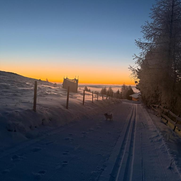 NEU komplett saniert - Falkert Lodge Alpine Escape - Chalet - 52