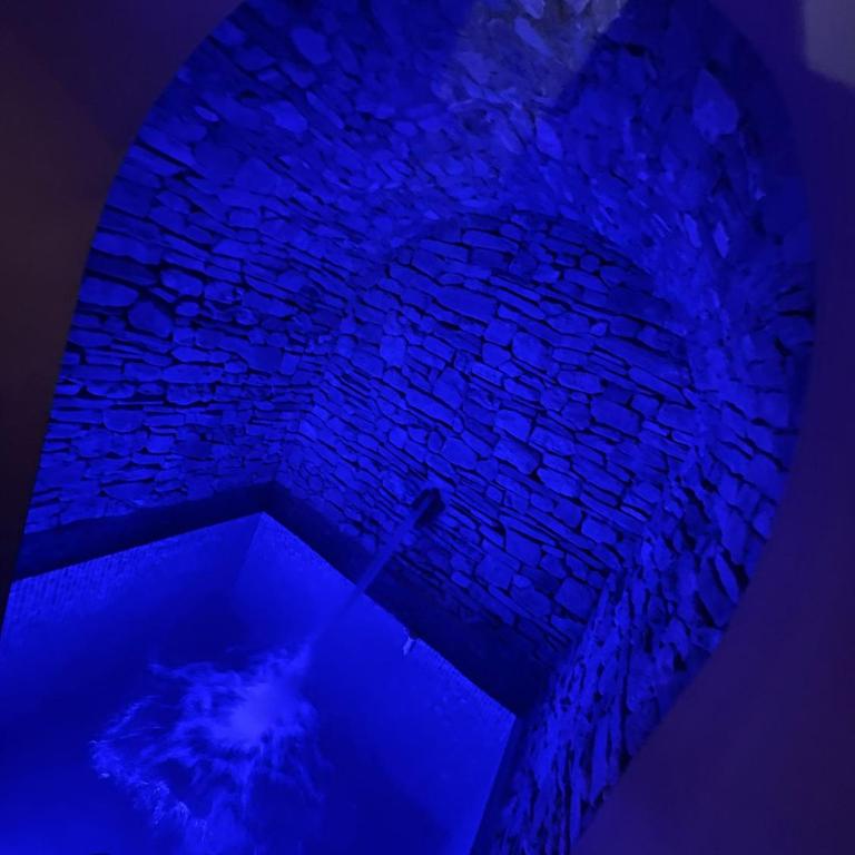 10214 Chalet d'exception nature sport et bien être sauna,jacuzzi hammam frigidarium - Chalet - 16