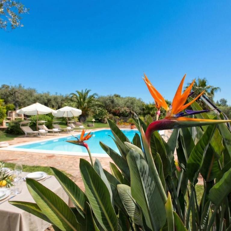 Villa Luna Smeralda ad Alghero villa con piscina ad uso esclusivo per 8 persone - Villa con Piscina Privata - 48