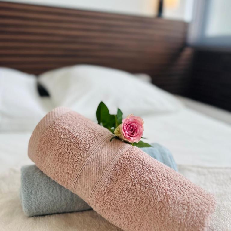 Studio romantique avec jacuzzi privé - aperçu mer - terrasse - parking gratuit - Appartement 1 Chambre - 6