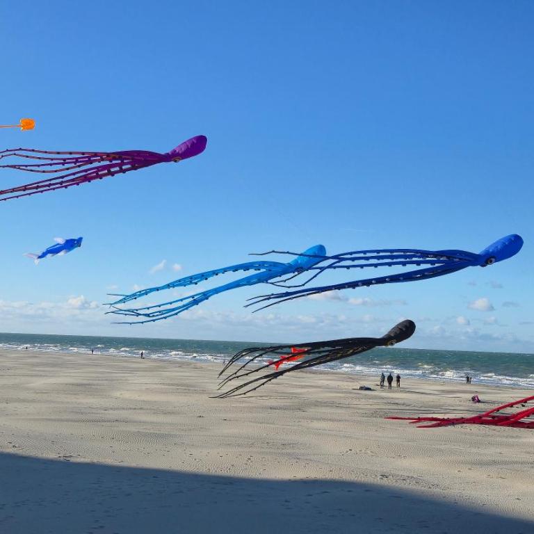 100 % vue mer, à Berck-sur-Mer - Appartement 3 Chambres - 10