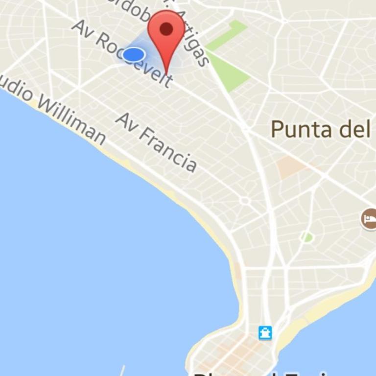 Roosvelt Avenue - Apartamento de 1 dormitorio - 16