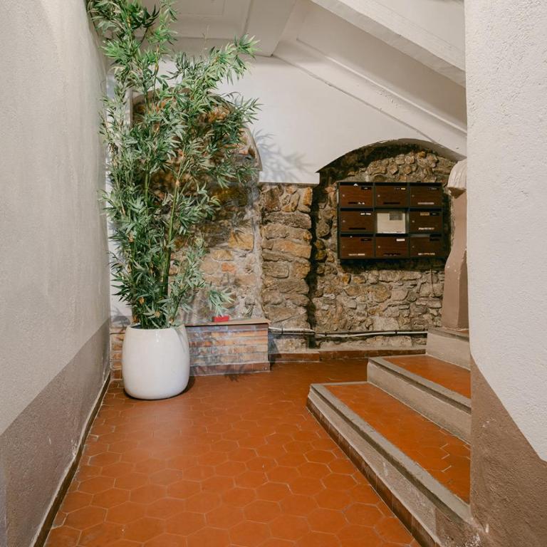 L'Anita - Rue Meynadier - Hyper Centre - Apartment mit 1 Schlafzimmer - 14