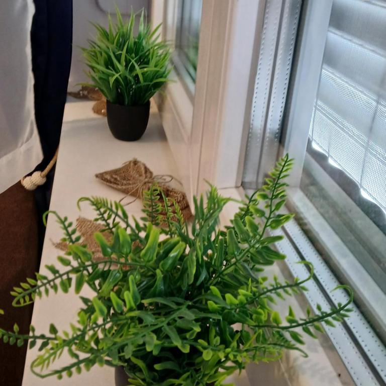 Natura Lux & Parking Free - Green Hill, blizu Akva parka - Apartman sa 1 Spavaćom Sobom - 17