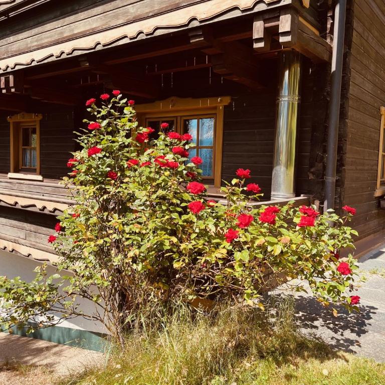 Ferienhaus Unterkircher-Wallner - Apartment mit 2 Schlafzimmern und Balkon - 19