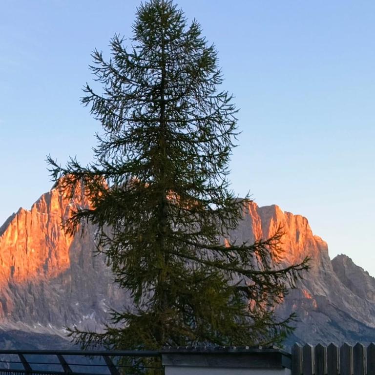 Balcone sul Civetta - Appartamento con 2 Camere da Letto - 37